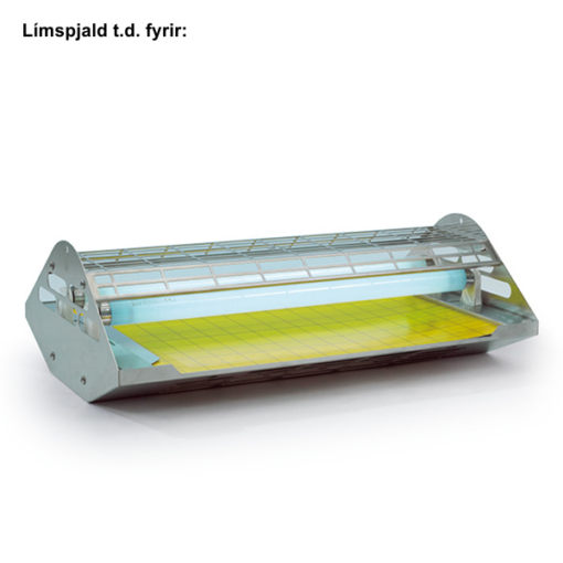 Límspjald Universal Lítið 6 stk. - Image 2